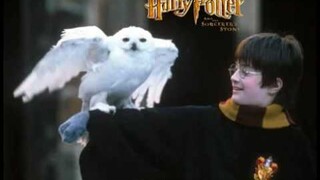 Harry Potter - Hedwig's Theme