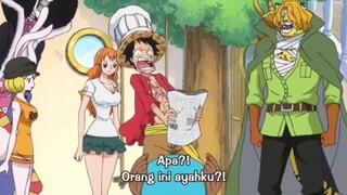 moment Luffy lihat wajah dragon☠️