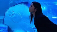 Chae Soo Bin, người đóng vai Cat Hong Hee Joo, đăng bài đăng Instagram mới nhất của mình~