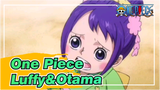 [One Piece] When Luffy Meets Otama