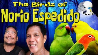 The Birds of NORIO ESPEDIDO