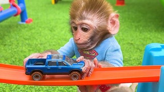 Monkey Baby Bon Bon พาลูกเป็ดไปที่ฟาร์มและสนุกกับรถของเล่น Hot Wheels