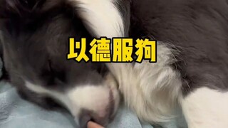 谁都别想好了