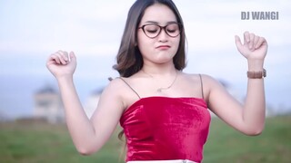 Dj Rungkad - Delia Salsabila  Official Music Video (0)