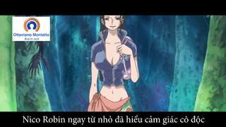 Ottaviano Montalto thánh edit - RAP - VỀ ROBIN (OnePiece)  #anime #schooltime