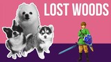 Lost Woods (Legend of Zelda) but it's Doggos and Gabe