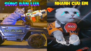 Thú Cưng Vlog | Mèo Và Mun Siêu Quậy #2 | Mèo thông minh vui nhộn | Smart cat funny pets |