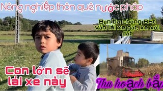 Thu hoạch bắp/bạn ba chồng 86tuoi vẫn lái máy gặt, mát xới/thôn quê nước pháp/Cuộc sống pháp