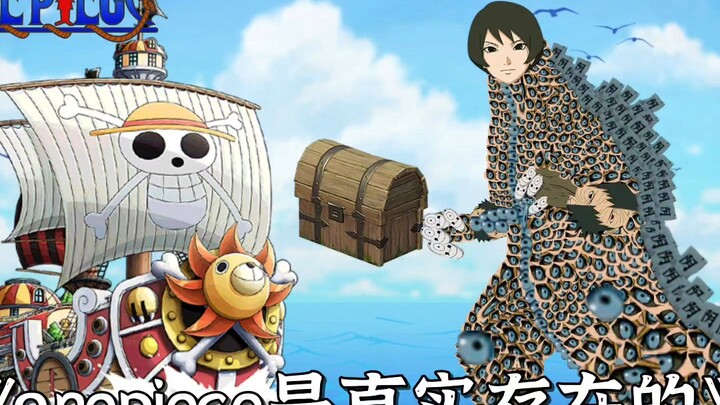 孩子们，我找到onepiece了🤓