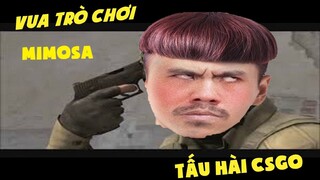 Vô Địch Cày KPI Tự Hủy CSGO Cùng Boman | Mimosa Chu