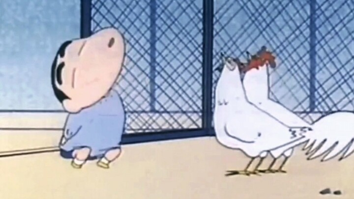 Crayon Shin-chan: Biji Wen Xiaoxin đang trực tuyến, giao tiếp bằng ngôn ngữ gà không rào cản khiến m