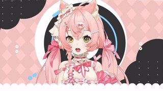 [แสดงโมเดล Live2d] ✦ดูเหมือนว่าเธอจะรู้ว่าเธอน่ารัก✦ลูกแมวแสนหวานทีน่าสุดฉลาด