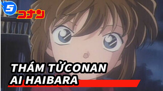 Haibara Ai Xuất Hiện Trong Bản TV (Update đến ep 341) | Thám tử Conan_5