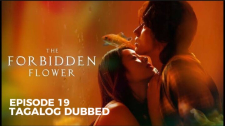 The Forbidden Flower Episode 19 Tagalog Dubbed