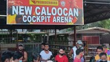 Ang pag babalik ng New Caloocan Cockpit Arena! #Sabong #Kaybiga