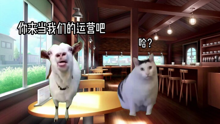 【猫meme】关于初中生因为抑郁休学在家忽然成为烘焙店运营这件事