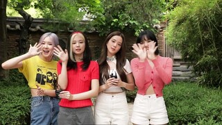 Salam Cina dari BLACKPINK! Tolong dukung lagu baru BLACKPINK! ! !