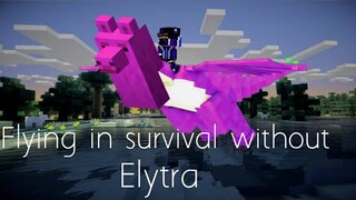 How To Fly In Survival Without Elytra