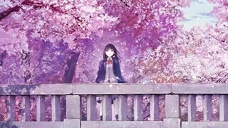 Sakura_Petals_Bridge live wallpaper