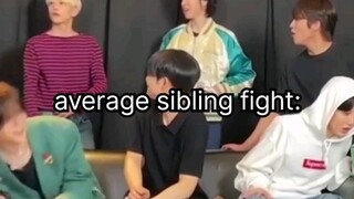 average sibling fight..