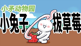 【小矛动物园】小兔子拔草莓，小犀牛没帮忙。