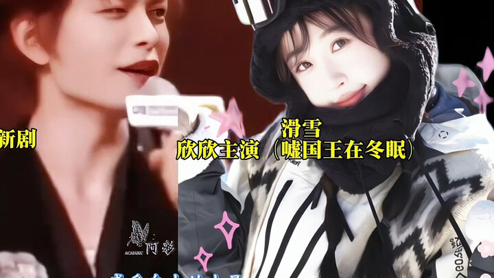 事业型cp玉溪为舒心宣传新剧！一句话宣三部#虞书欣丁禹兮 #禹宙中欣
