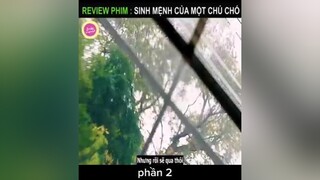 Review phim cuộc đời của một chú chó qua nhiều kiếp.hanhphuc chó_cưng xuhuong tiktok rewiewphim bóngda tình_yêu