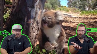 Americans React to Only in Australia Funny Video Compilation =)