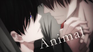 Dakaichi - Animal | AMV [Yaoi]