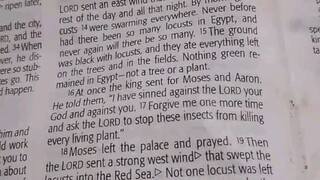 Daily Verse.                  Exodus 10:13-20