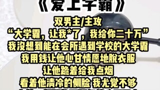 【双男主/主攻】傲娇攻x宠溺受“大学霸，让我*了，我给你二十万”