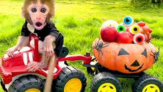 Monkey Baby Bon Bon and puppy play with Halloween Pumpkin car and eat Eyeball Jelly