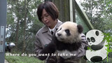 Alasan Tak Pelihara Panda | Butuh Perhatian Banyak Saat Mencari Panda