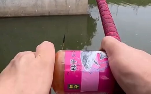 火速上鱼！