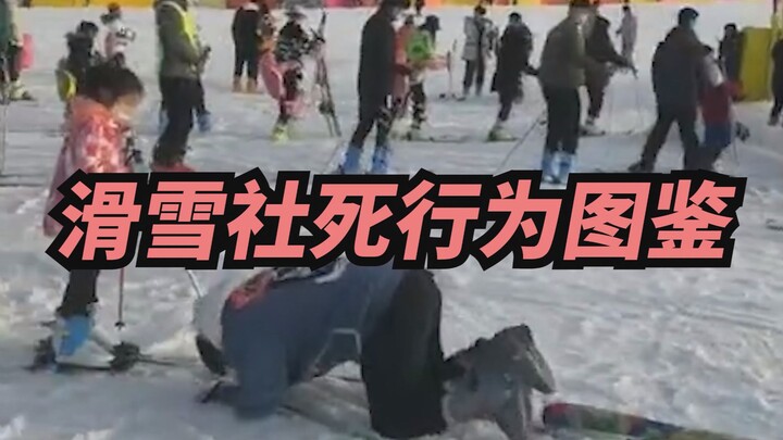 这么说吧，下届冬奥会没他们我不看