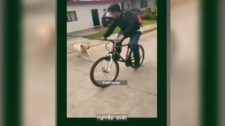 Những pha tấu hài rụng răng #meme