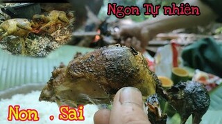 ( Tập 3 ). Kiến Ăn Rừng Già .. Món Ăn ngon Tự Nhiên Tại Rừng