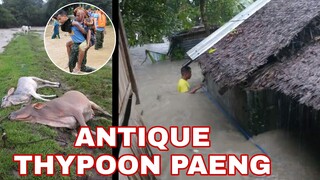 BAGYO SA ANTIQUE | THYPOON PAENG