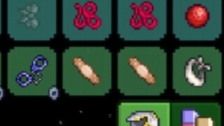 Terraria's Wonderful Fashion
