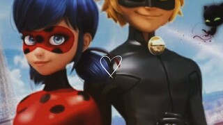 #is cute #ladybuy & Cat noir