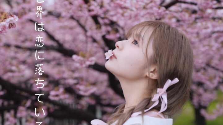66 🌸我的世界已坠入爱河