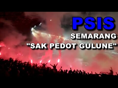salah satu suporter militan dan terbaik di indonesia