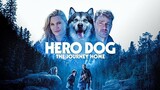 Hero Dog The Journey Home 2021_HD