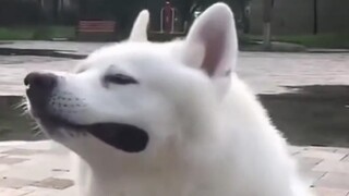 ชีวิตไม่ง่าย ยังต้องพยายาม!