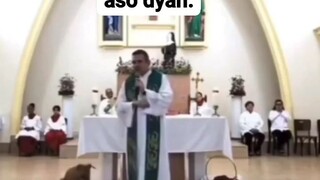 anyari?