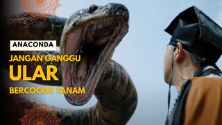 ANACONDA | TERJEBAK DI HUTAN BERSAMA JUTAAN ULAR