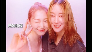 孤独顶级杀手遇到活泼开朗的她，被她治愈，让她觉得人生原来可以这么有趣
