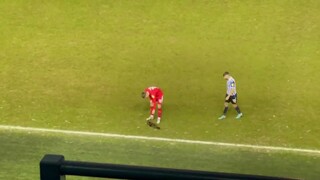 Cat on the pitch at Hillsborough Stadium