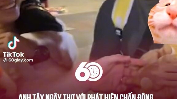 :)))) tui ko bít anh này có não ko 🧠
