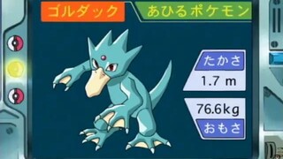 オーキド博士のポケモン講座(ゴルダック)